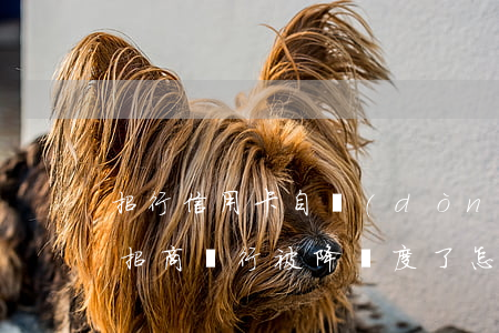 招行信用卡自動(dòng)降額逾期起訴(招商銀行被降額度了怎么辦)