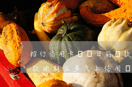 招行信用卡賬單日前還款算逾期(招商銀行還款逾期后多久上信用記錄)