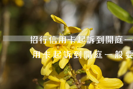 招行信用卡起訴到開庭一般要多久-招行信用卡起訴到開庭一般要多久才能開庭