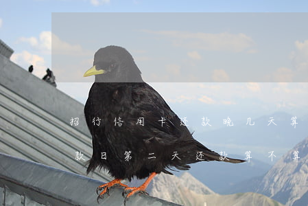 招行信用卡还款晚几天算逾期-招商银行还款日第二天还款算不算逾期