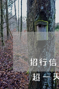 招行信用卡还款逾期一天6(招商银行还款日超一天)