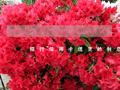 招行信用卡透支的利息(招商銀行卡有利息嗎)