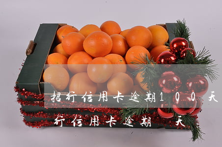 招行信用卡逾期100天凍結(jié)(招行信用卡 逾期兩天)