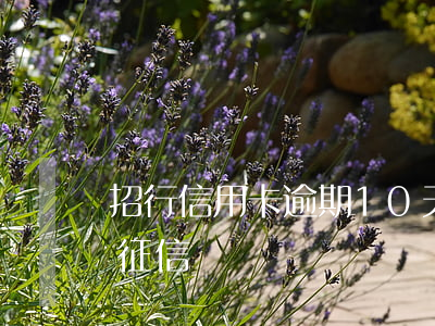 招行信用卡逾期10天上征信-招行幾天上征信