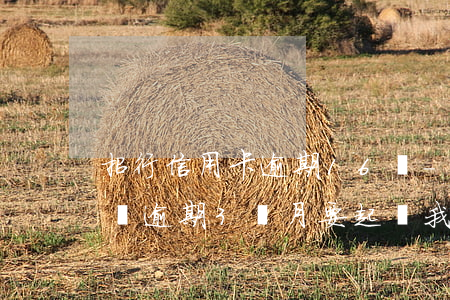 招行信用卡逾期16萬-招商銀行信用卡6萬逾期3個月要起訴我怎么辦