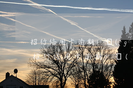 招行信用卡逾期1個(gè)月接到電話-招行信用卡逾期1個(gè)月接到電話怎么辦