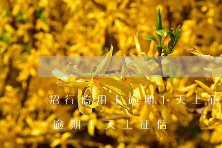招行信用卡逾期1天上征信嗎-招行信用卡逾期1天上征信嗎