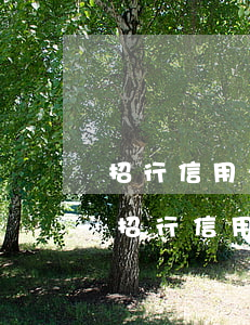 招行信用卡逾期1天會(huì)上征信么(招行信用卡逾期1天會(huì)上征信么嗎)
