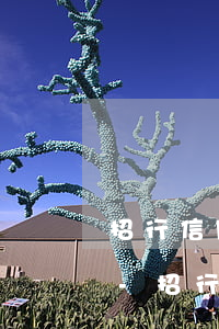 招行信用卡逾期1天還款是否影響信用記錄-招行信用卡逾期1天還款是否影響信用記錄?