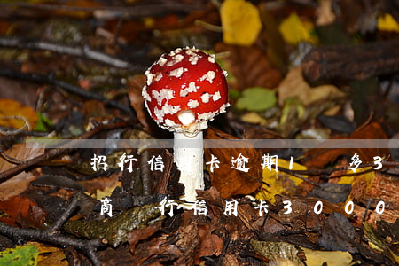 招行信用卡逾期1萬多3個(gè)月-招商銀行信用卡3000逾期三個(gè)月要起訴我真的么