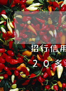 招行信用卡逾期20多天-招行信用卡逾期20多天上門