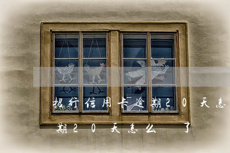 招行信用卡逾期20天怎么辦(招行信用卡逾期20天怎么辦了)