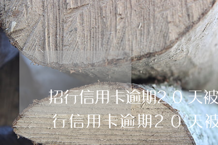 招行信用卡逾期20天被要求全額還款-招行信用卡逾期20天被要求全額還款怎么辦
