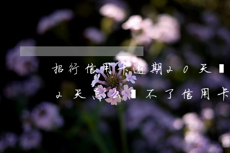 招行信用卡逾期20天還清后(招商銀行逾期2天怎么還不了信用卡)