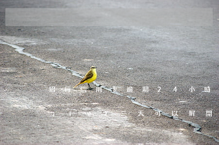 招行信用卡逾期24小時解凍(招行卡凍結(jié)三天可以解開嗎)