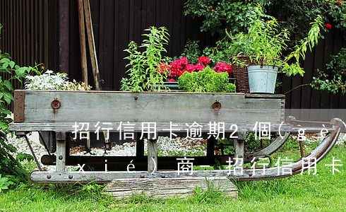 招行信用卡逾期2個(gè)多月怎么協(xié)商-招行信用卡逾期2個(gè)多月怎么協(xié)商還款