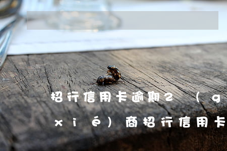 招行信用卡逾期2個(gè)多月怎么協(xié)商 招行信用卡逾期2個(gè)多月怎么協(xié)商