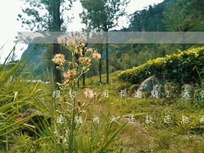 招行信用卡逾期2天会影响征信吗(招商银行逾期两天还款还能再刷出来吗)