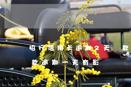 招行信用卡逾期2天還款(招商銀行信用卡還款逾期一天有影響嗎)