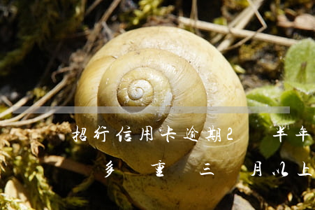 招行信用卡逾期2萬半年(招商信用卡逾期兩萬多嚴重嗎三個月以上)