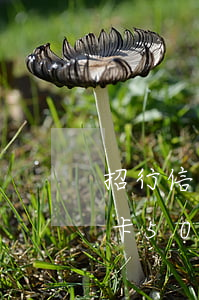 招行信用卡逾期3000多(欠招商銀行信用卡5000逾期一年已還3000,還會被拘留嗎)