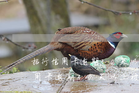招行信用卡逾期30天以上被凍結-招行信用卡逾期30天以上被凍結怎么辦
