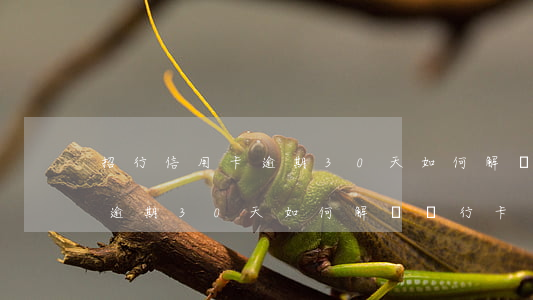 招行信用卡逾期30天如何解凍 招行信用卡逾期30天如何解凍銀行卡
