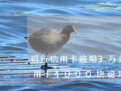 招行信用卡逾期3万多久起诉(欠招商银行信用卡4000块,逾期了3个月,会起诉吗?)