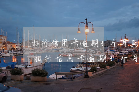 招行信用卡逾期3个月真的会上门催收吗-招行信用卡逾期3个月真的会上门催收吗