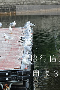 招行信用卡逾期3個(gè)月以上(招行信用卡3000逾期一個(gè)月是多少罰息)