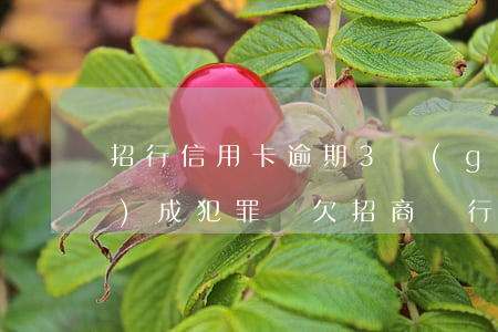 招行信用卡逾期3個(gè)月構(gòu)成犯罪嗎(欠招商銀行信用卡4000塊,逾期了3個(gè)月,會(huì)起訴嗎?)
