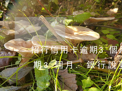 招行信用卡逾期3個月了(招商銀行信用卡逾期3個月.銀行說要起訴我)