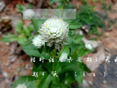 招行信用卡逾期3天利息(招商銀行信用卡逾期4天會(huì)有不良記錄嗎)