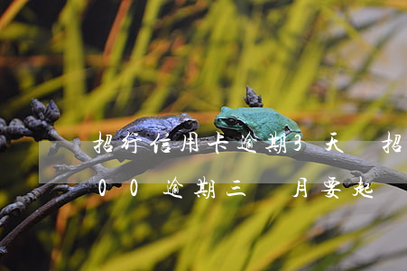 招行信用卡逾期3天從(招商銀行信用卡3000逾期三個月要起訴我真的么)