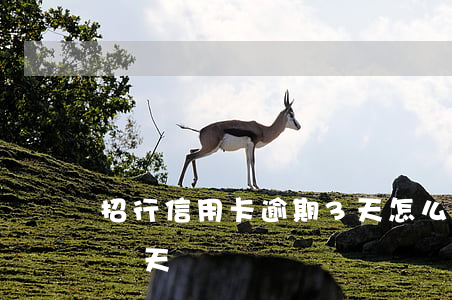 招行信用卡逾期3天怎么辦(招行信用卡逾期兩天)