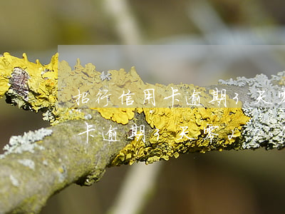 招行信用卡逾期3天零20分鐘-招行信用卡逾期3天零20分鐘算逾期嗎