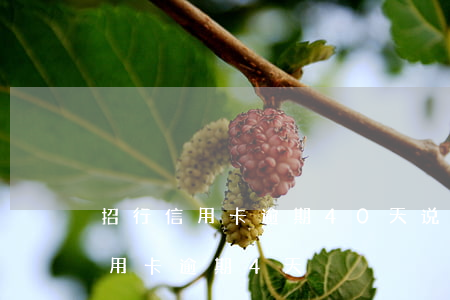 招行信用卡逾期40天说要起诉(招商银行信用卡逾期4天)