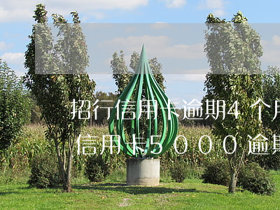招行信用卡逾期4个月发了律师函(招商银行信用卡5000逾期三个月要起诉我真的么)