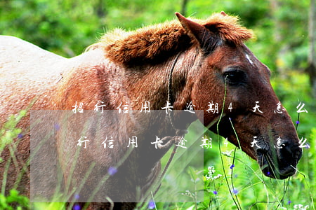 招行信用卡逾期4天怎么補(bǔ)救-招行信用卡逾期4天怎么補(bǔ)救呢