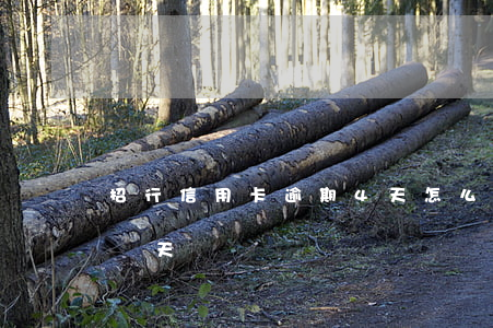 招行信用卡逾期4天怎么辦(招行信用卡逾期兩天)