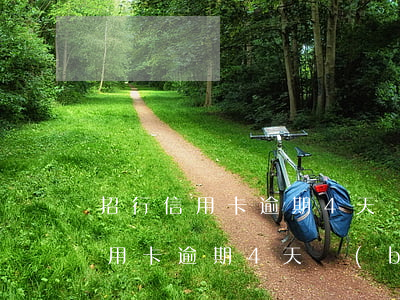 招行信用卡逾期4天補(bǔ)救-招行信用卡逾期4天補(bǔ)救