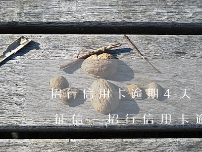 招行信用卡逾期4天還款了會(huì)上征信-招行信用卡逾期4天還款了會(huì)上征信嗎