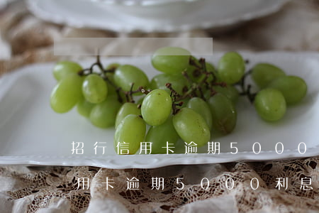招行信用卡逾期5000利息多少-招行信用卡逾期5000利息多少錢