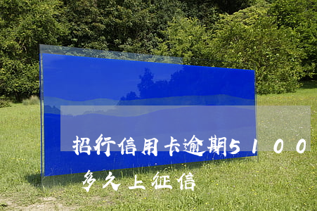 招行信用卡逾期51000(招行信用卡逾期多久上征信記錄)