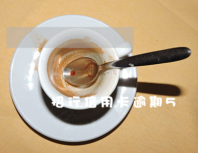招行信用卡逾期5個月(招行信用卡逾期兩天)
