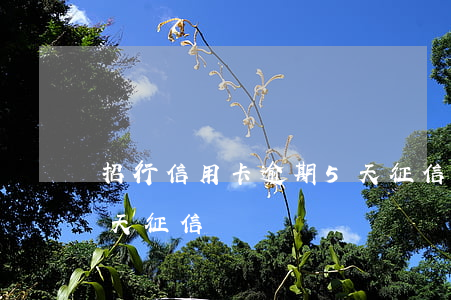 招行信用卡逾期5天征信（招行信用卡逾期5天征信）