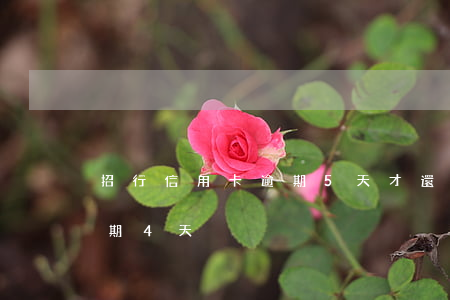 招行信用卡逾期5天才還(招商銀行信用卡逾期4天)