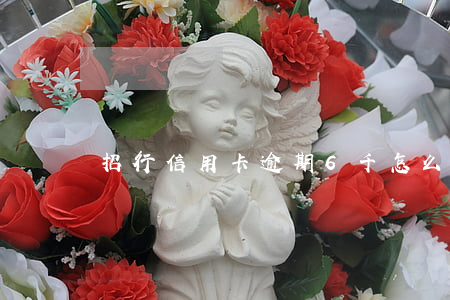 招行信用卡逾期6千怎么協(xié)商