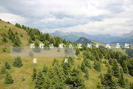 招行信用卡逾期6次居然能提額 招行卡提額要幾個月