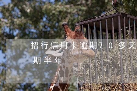 招行信用卡逾期70多天(招行信用卡四万逾期半年)